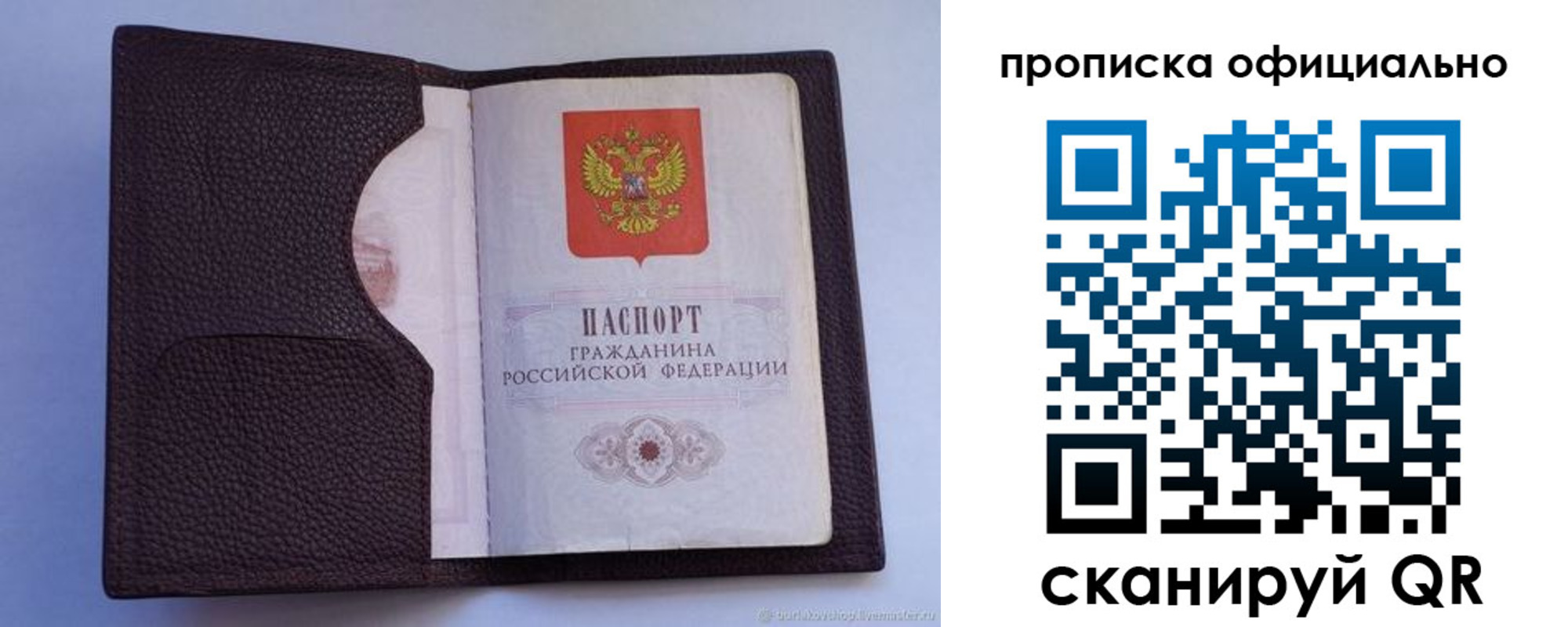 купить прописку в Ленинградской области